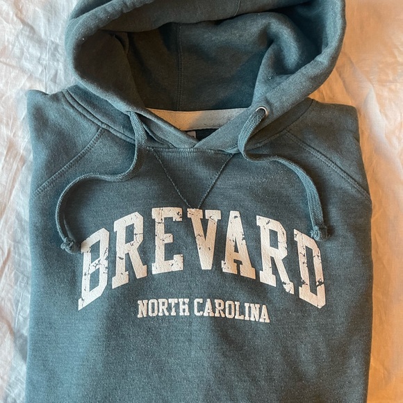 #299 BREVARD NORTH CAROLINA (VINTAGE WEAR) HOODIE - Picture 4 of 16